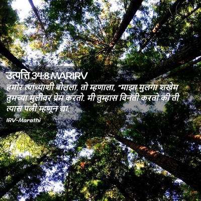 Picture 02 - उत्पत्ति 34:8 MARIRV - हमोर त्यांच्याशी - Bible Verse Picture