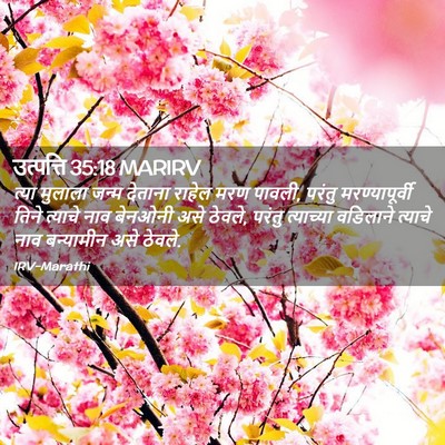 Picture 02 - उत्पत्ति 35:18 MARIRV - त्या मुलाला जन्म - Bible Verse Picture