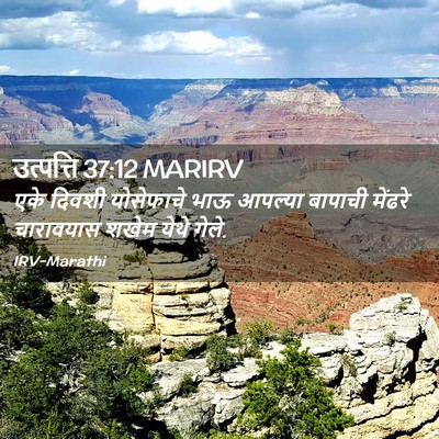 Picture 02 - उत्पत्ति 37:12 MARIRV - एके दिवशी - Bible Verse Picture