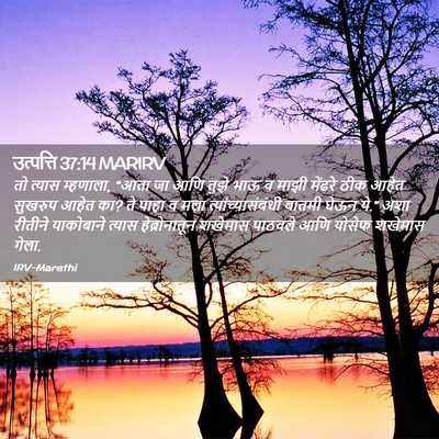 Picture 02 - उत्पत्ति 37:14 MARIRV - तो त्यास म्हणाला, - Bible Verse Picture