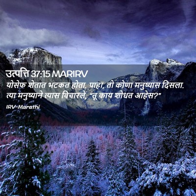 Picture 02 - उत्पत्ति 37:15 MARIRV - योसेफ शेतात भटकत - Bible Verse Picture