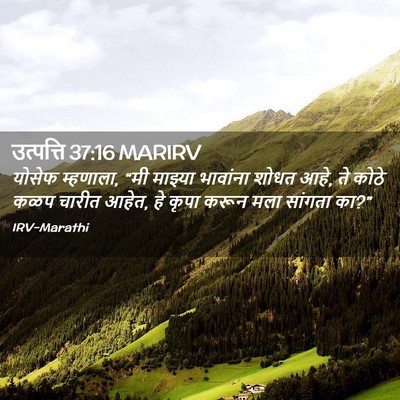 Picture 02 - उत्पत्ति 37:16 MARIRV - योसेफ म्हणाला, “मी - Bible Verse Picture