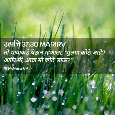 Picture 02 - उत्पत्ति 37:30 MARIRV - तो भावांकडे येऊन - Bible Verse Picture