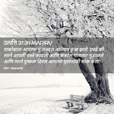 Picture 02 - उत्पत्ति 37:34 MARIRV - याकोबाला आपल्या - Bible Verse Picture