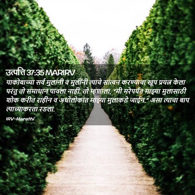 Picture 02 - उत्पत्ति 37:35 MARIRV - याकोबाच्या सर्व - Bible Verse Picture