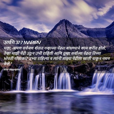 Picture 02 - उत्पत्ति 37:7 MARIRV - पाहा, आपण सर्वजण - Bible Verse Picture