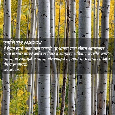 Picture 02 - उत्पत्ति 37:8 MARIRV - हे ऐकून त्याचे भाऊ - Bible Verse Picture