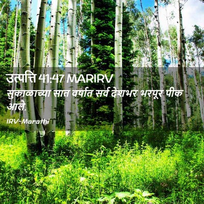 Picture 02 - उत्पत्ति 41:47 MARIRV - सुकाळाच्या सात - Bible Verse Picture