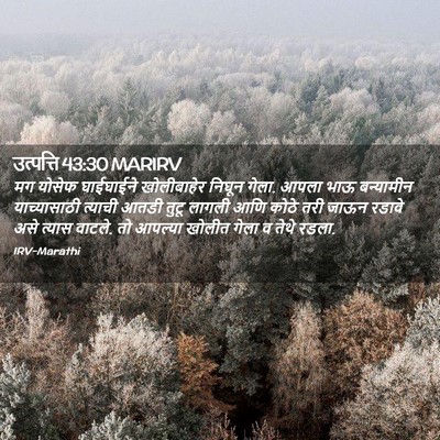 Picture 02 - उत्पत्ति 43:30 MARIRV - मग योसेफ घाईघाईने - Bible Verse Picture