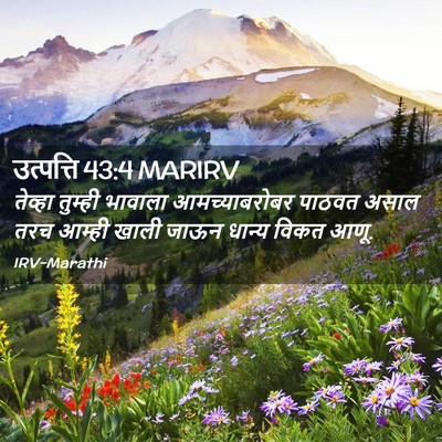 Picture 02 - उत्पत्ति 43:4 MARIRV - तेव्हा तुम्ही - Bible Verse Picture