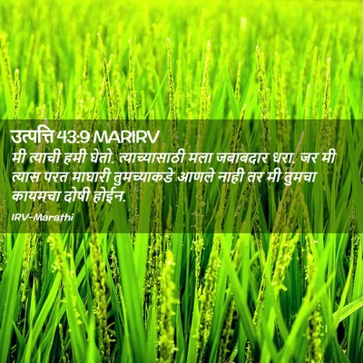 Picture 02 - उत्पत्ति 43:9 MARIRV - मी त्याची हमी घेतो. - Bible Verse Picture