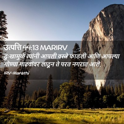 Picture 02 - उत्पत्ति 44:13 MARIRV - दुःखामुळे त्यांनी - Bible Verse Picture