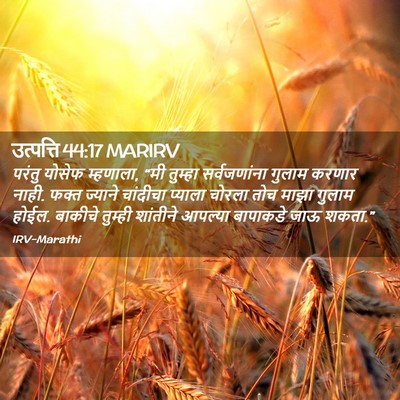 Picture 02 - उत्पत्ति 44:17 MARIRV - परंतु योसेफ - Bible Verse Picture