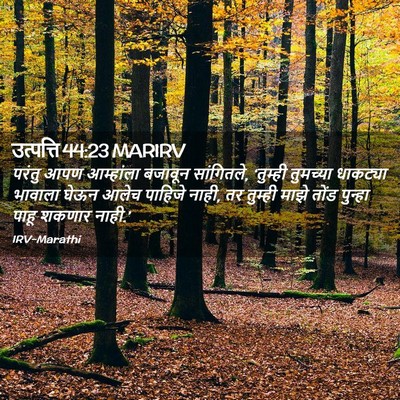 Picture 02 - उत्पत्ति 44:23 MARIRV - परंतु आपण - Bible Verse Picture