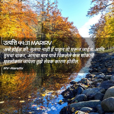Picture 02 - उत्पत्ति 44:31 MARIRV - असे होईल की, मुलगा - Bible Verse Picture