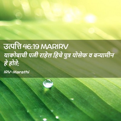 Picture 02 - उत्पत्ति 46:19 MARIRV - याकोबाची पत्नी - Bible Verse Picture
