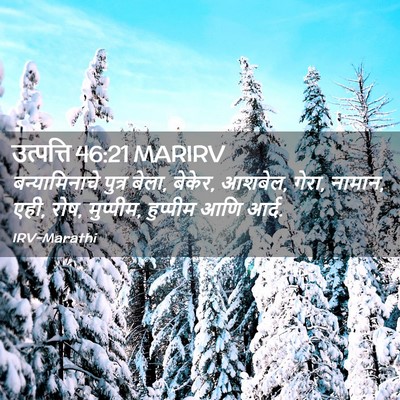 Picture 02 - उत्पत्ति 46:21 MARIRV - बन्यामिनाचे पुत्र - Bible Verse Picture
