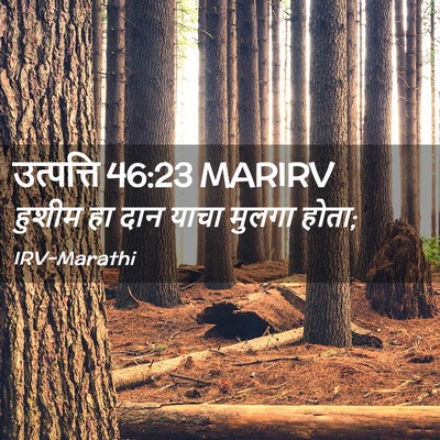 Picture 02 - उत्पत्ति 46:23 MARIRV - हुशीम हा दान याचा - Bible Verse Picture