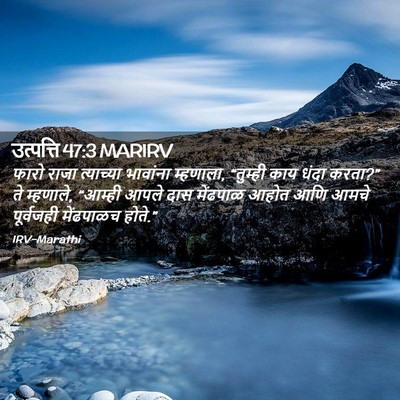 Picture 02 - उत्पत्ति 47:3 MARIRV - फारो राजा - Bible Verse Picture