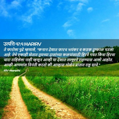 Picture 02 - उत्पत्ति 47:4 MARIRV - ते फारोला पुढे - Bible Verse Picture