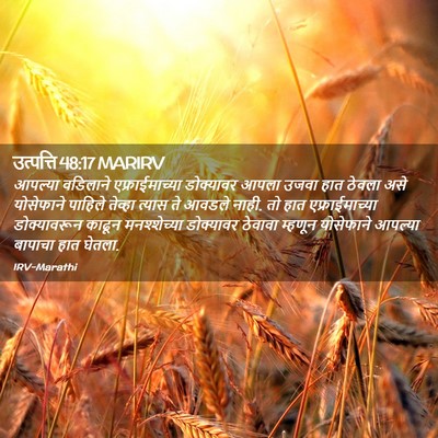 Picture 02 - उत्पत्ति 48:17 MARIRV - आपल्या वडिलाने - Bible Verse Picture