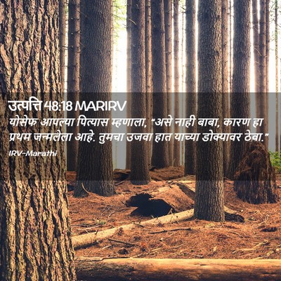 Picture 02 - उत्पत्ति 48:18 MARIRV - योसेफ आपल्या - Bible Verse Picture