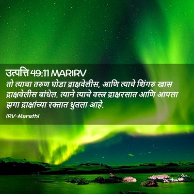Picture 02 - उत्पत्ति 49:11 MARIRV - तो त्याचा तरुण - Bible Verse Picture