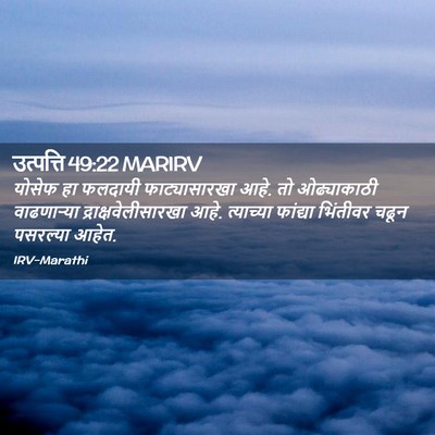 Picture 02 - उत्पत्ति 49:22 MARIRV - योसेफ हा फलदायी - Bible Verse Picture