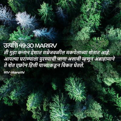 Picture 02 - उत्पत्ति 49:30 MARIRV - ती गुहा कनान देशात - Bible Verse Picture