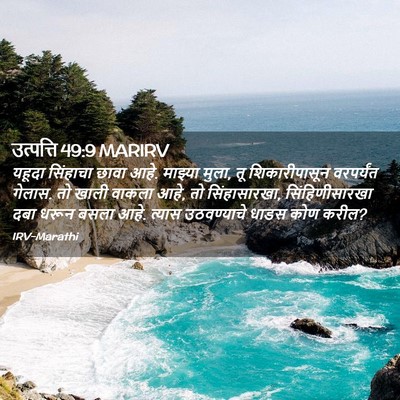 Picture 02 - उत्पत्ति 49:9 MARIRV - यहूदा सिंहाचा - Bible Verse Picture