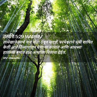 Picture 02 - उत्पत्ति 5:29 MARIRV - लामेखाने त्याचे - Bible Verse Picture
