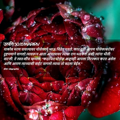 Picture 02 - उत्पत्ति 50:15 MARIRV - याकोब मरण - Bible Verse Picture