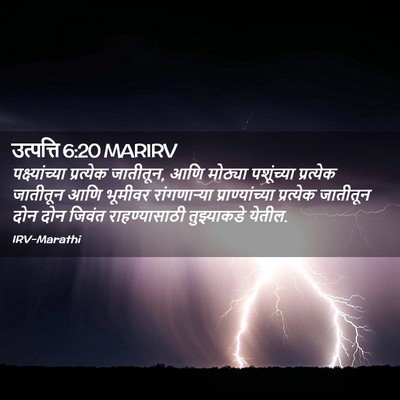 Picture 02 - उत्पत्ति 6:20 MARIRV - पक्ष्यांच्या - Bible Verse Picture