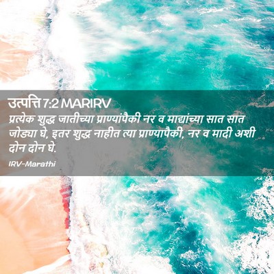 Picture 02 - उत्पत्ति 7:2 MARIRV - प्रत्येक शुद्ध - Bible Verse Picture
