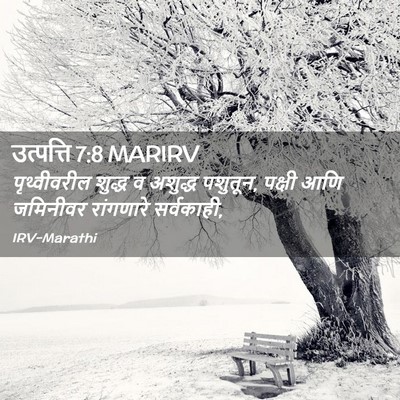 Picture 02 - उत्पत्ति 7:8 MARIRV - पृथ्वीवरील शुद्ध - Bible Verse Picture