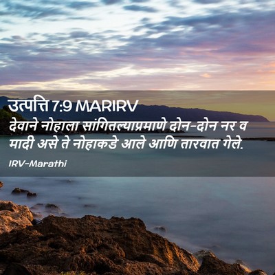 Picture 02 - उत्पत्ति 7:9 MARIRV - देवाने नोहाला - Bible Verse Picture