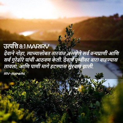 Picture 02 - उत्पत्ति 8:1 MARIRV - देवाने नोहा, - Bible Verse Picture