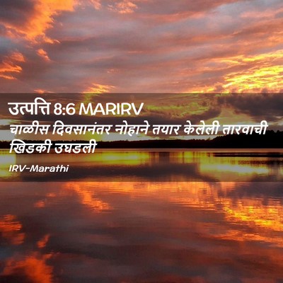 Picture 02 - उत्पत्ति 8:6 MARIRV - चाळीस दिवसानंतर - Bible Verse Picture