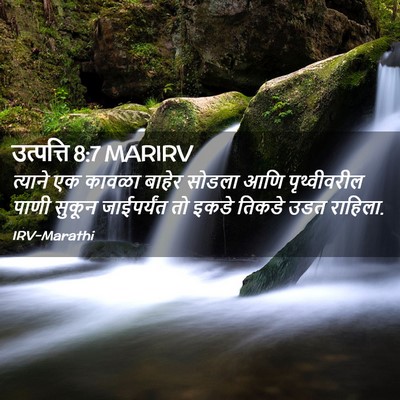 Picture 02 - उत्पत्ति 8:7 MARIRV - त्याने एक कावळा - Bible Verse Picture