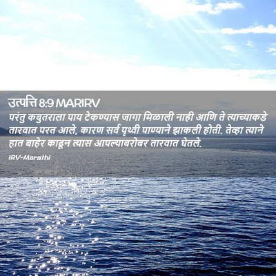 Picture 02 - उत्पत्ति 8:9 MARIRV - परंतु कबुतराला - Bible Verse Picture