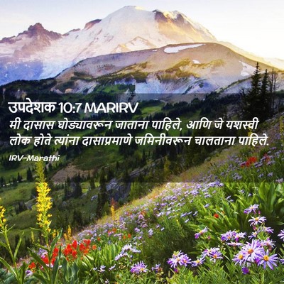 Picture 02 - उपदेशक 10:7 MARIRV - मी दासास - Bible Verse Picture