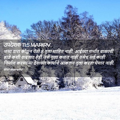 Picture 02 - उपदेशक 11:5 MARIRV - जसा वारा कोठून - Bible Verse Picture