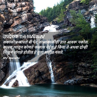 Picture 02 - उपदेशक 11:6 MARIRV - सकाळीच आपले बी पेर, - Bible Verse Picture