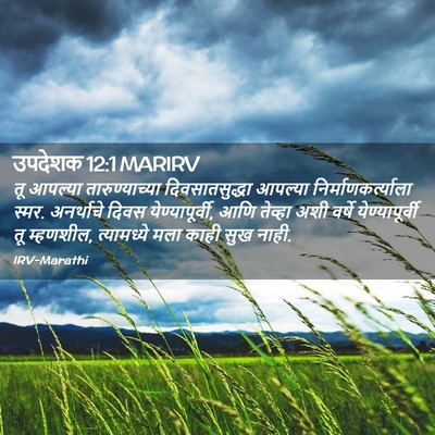 Picture 02 - उपदेशक 12:1 MARIRV - तू आपल्या - Bible Verse Picture