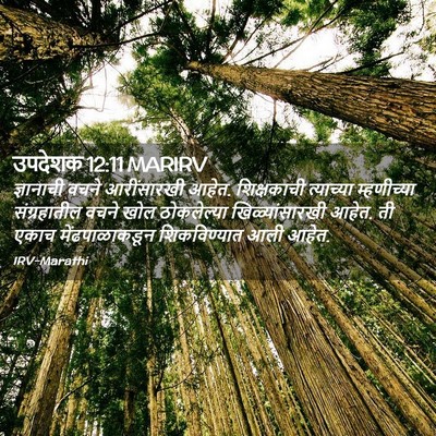 Picture 02 - उपदेशक 12:11 MARIRV - ज्ञानाची वचने - Bible Verse Picture