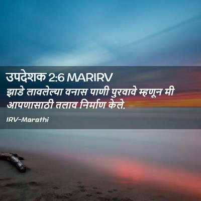 Picture 02 - उपदेशक 2:6 MARIRV - झाडे लावलेल्या - Bible Verse Picture