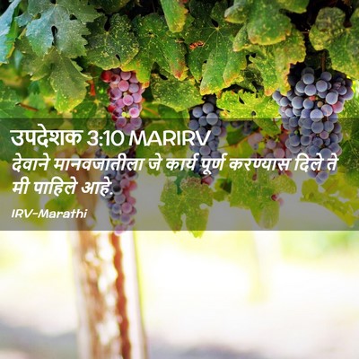 Picture 02 - उपदेशक 3:10 MARIRV - देवाने मानवजातीला - Bible Verse Picture