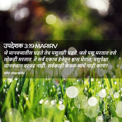 Picture 02 - उपदेशक 3:19 MARIRV - जे मानवजातीस घडते - Bible Verse Picture