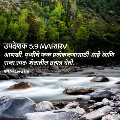 Picture 02 - उपदेशक 5:9 MARIRV - आणखी, पृथ्वीचे फळ - Bible Verse Picture