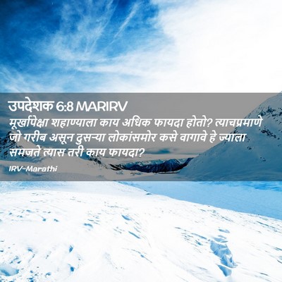 Picture 02 - उपदेशक 6:8 MARIRV - मूर्खापेक्षा - Bible Verse Picture